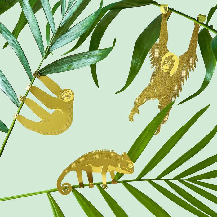 Plant Animals