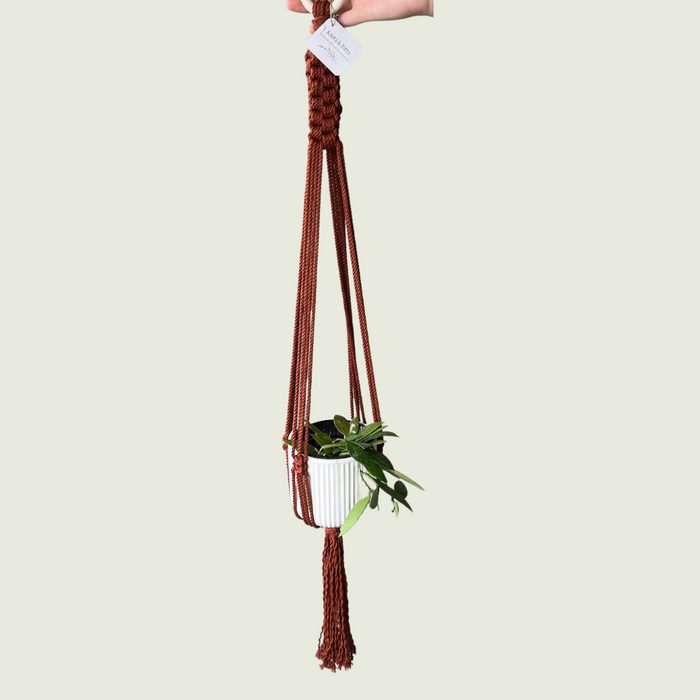 Liz Rust Macrame Plant Hanger