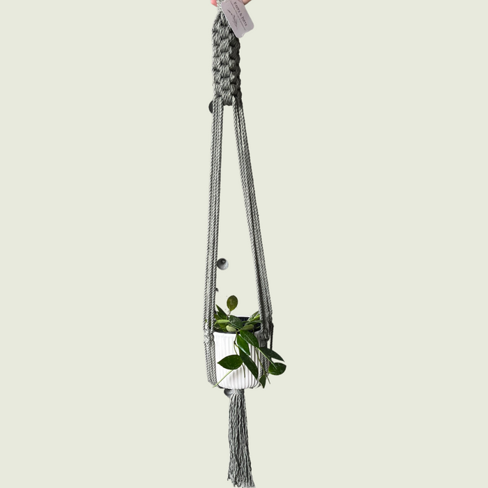 Liz Sage Macrame Plant Hanger