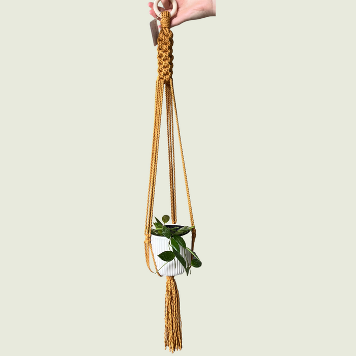 Liz Mustard Macrame Plant Hanger