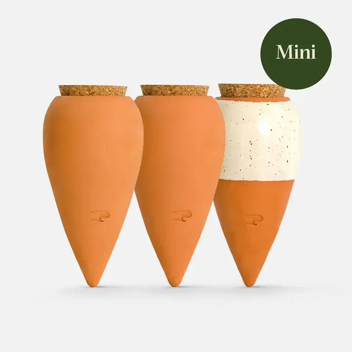 Mini Olla Three Pack