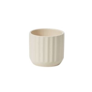 Cream Beam Pot