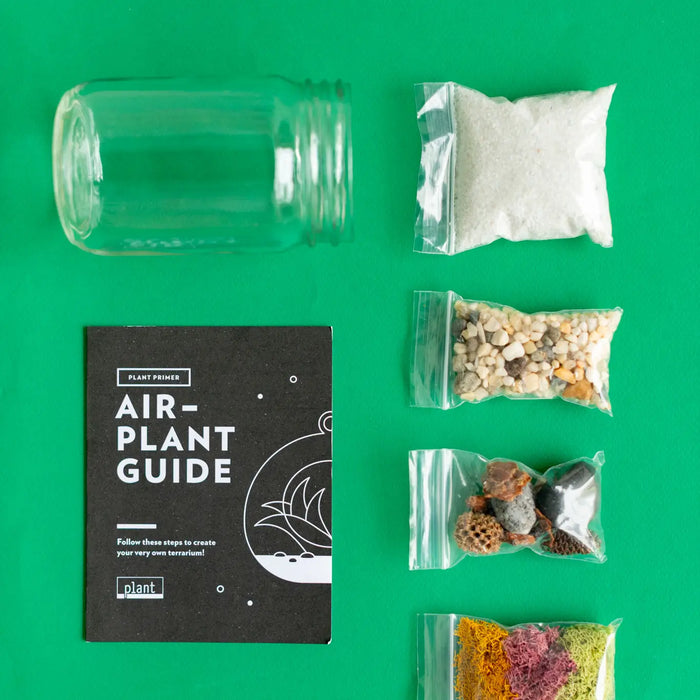 Airplant Terrarium: Jar