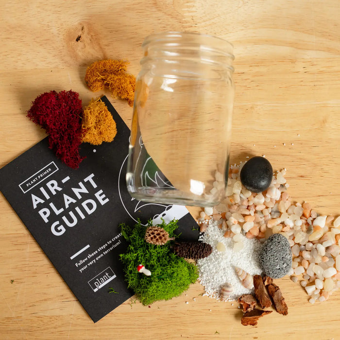 Airplant Terrarium: Jar