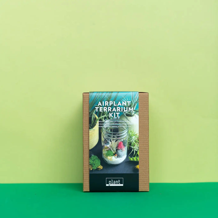 Airplant Terrarium: Jar