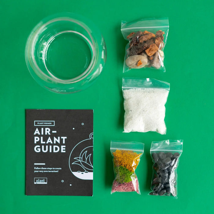 Airplant Terrarium: Globe