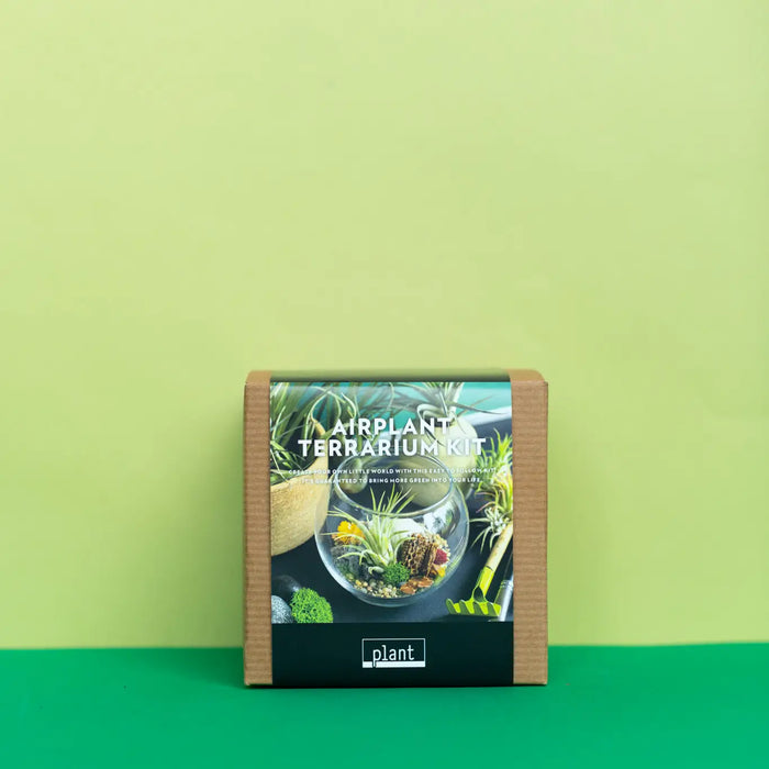 Airplant Terrarium: Globe