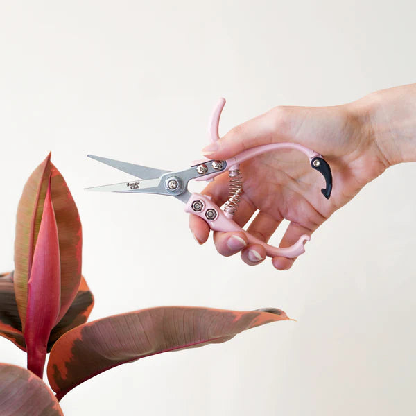 Pink Pruning Shears
