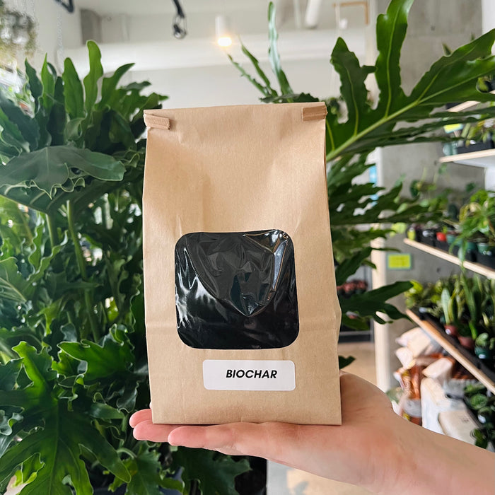 Biochar