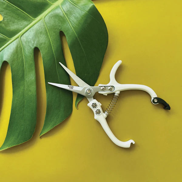 White Pruning Shears