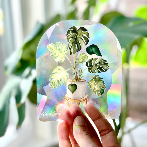 Monstera Suncatcher Window Decal