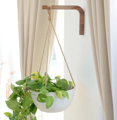 Walnut Wall Hanger