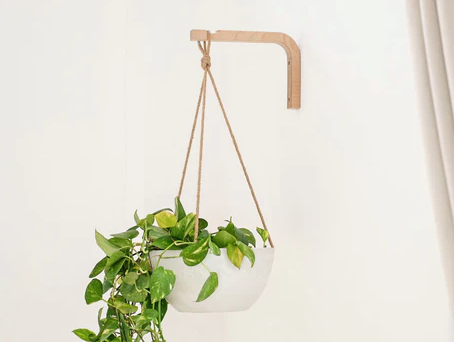 Light Birch Wall Hanger