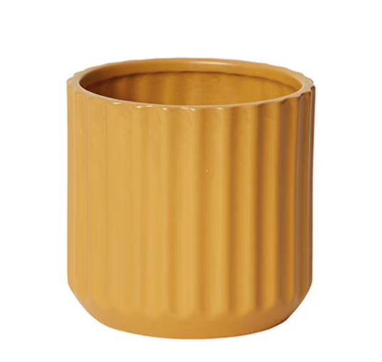 Mustard Beam Pot
