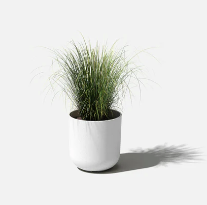 White Mason Kona Planter