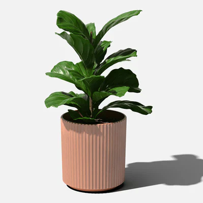 Terracotta Demi Planter