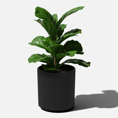 Black Demi Planter