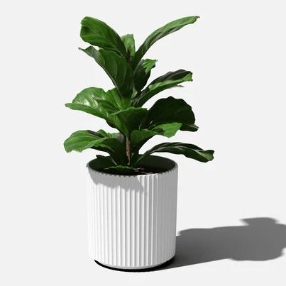 White Demi Planter