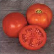 Tomato 'Mountain Man'