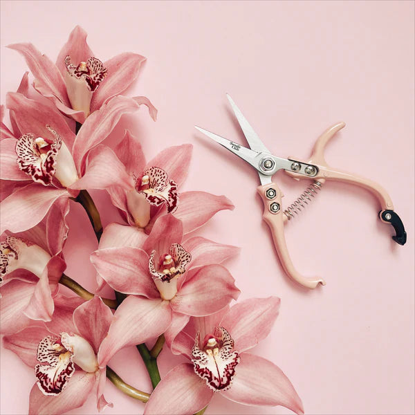 Pink Pruning Shears