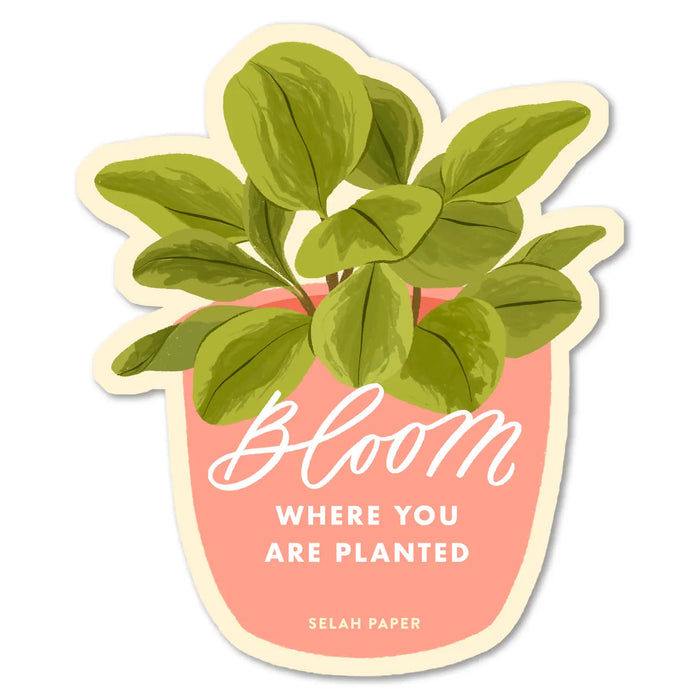 Bloom Where You Are Planted Sticker