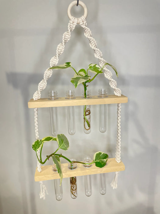 Macrame Propagation Station Hanger