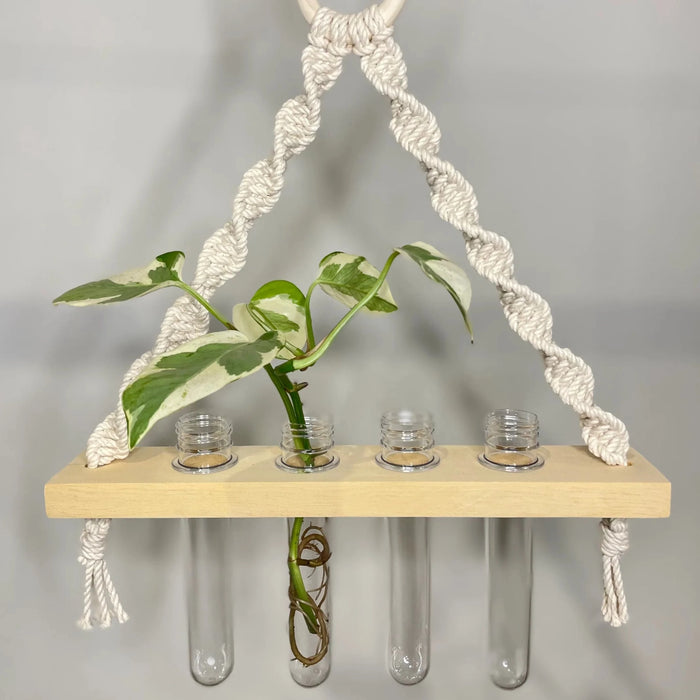 Macrame Propagation Station Hanger
