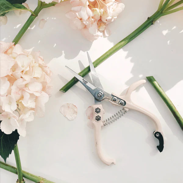 Vanilla Pruning Shears