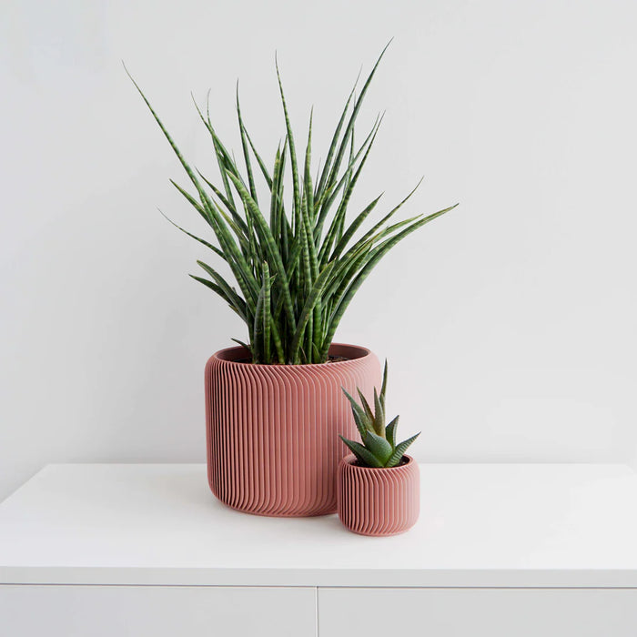 Salmon Pine Planter
