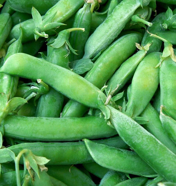 Sugar Snap Peas