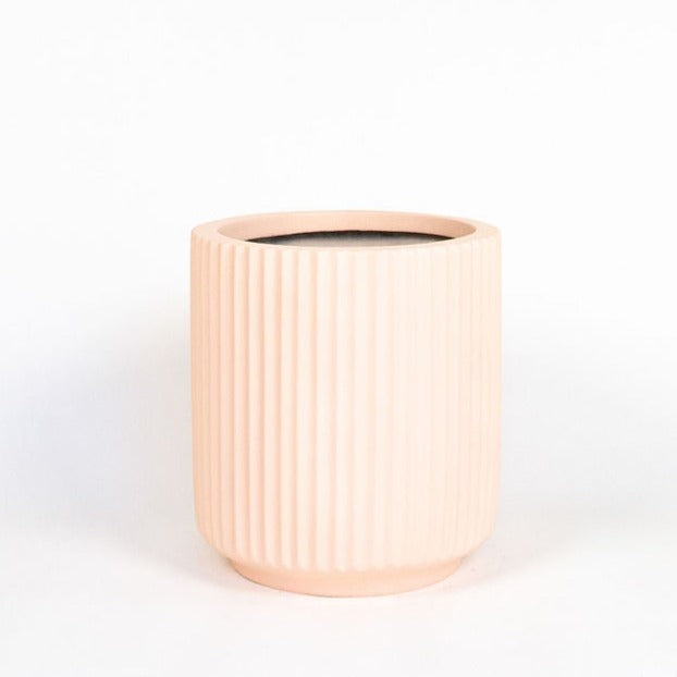 Blush Scallop Planter