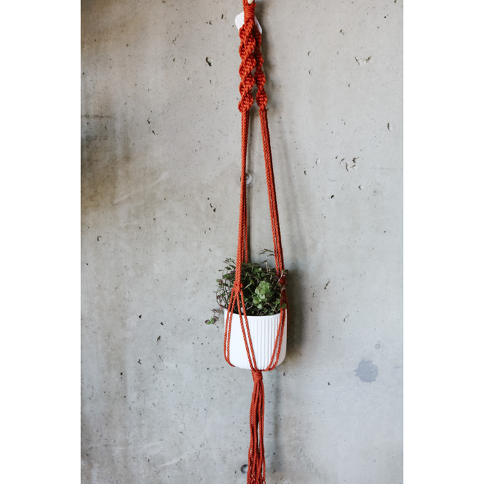 Jane Rust Macrame Plant Hanger