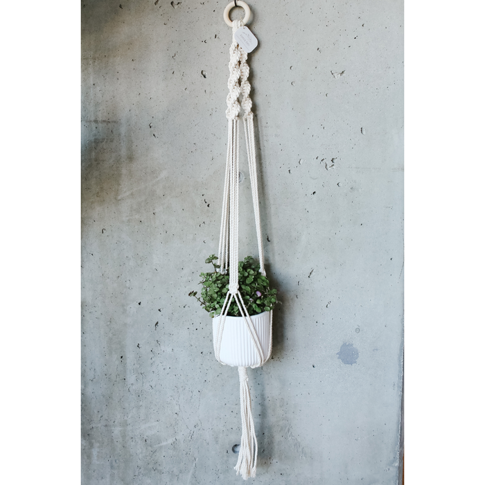 Jane Cream Macrame Plant Hanger