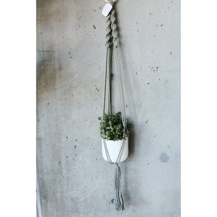 Jane Sage Macrame Plant Hanger