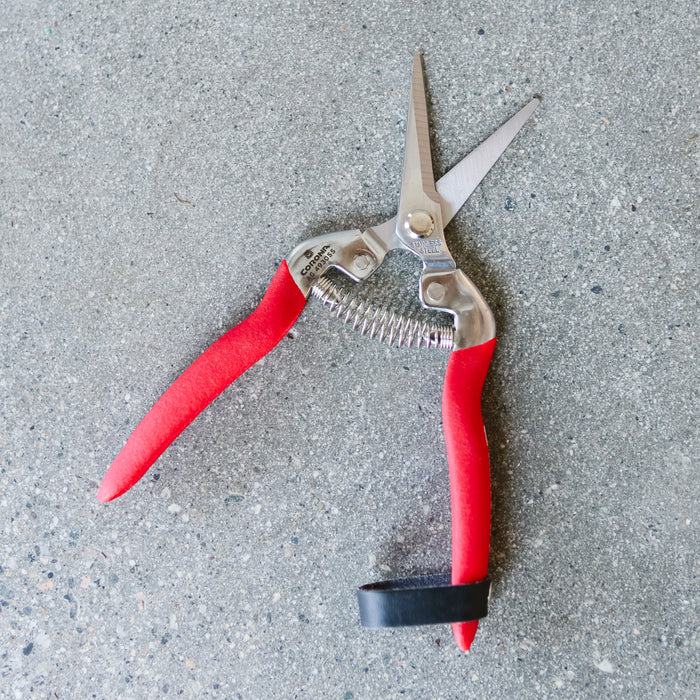 Pruner