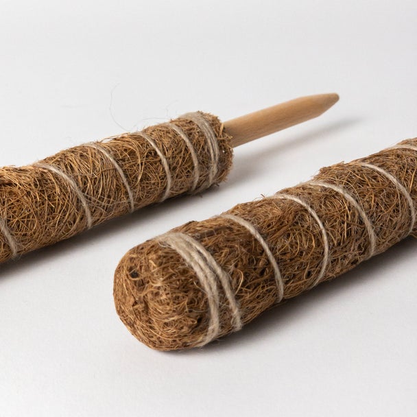 Small Coco Coir Support Pole