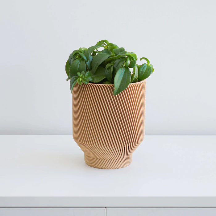 Tan Spruce Planter