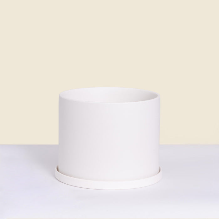 Ceramic Planters
