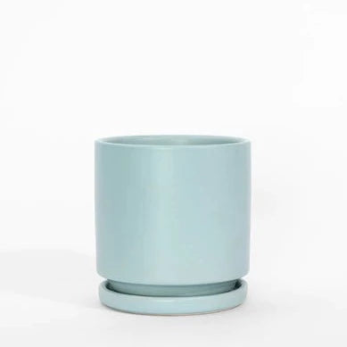 Air Blue Cylinder Pot with Water Tray