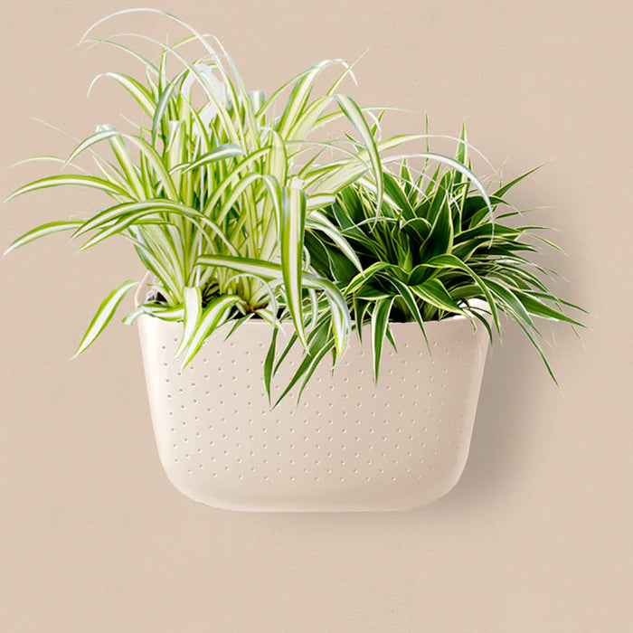 Oat Eco Wall Planter