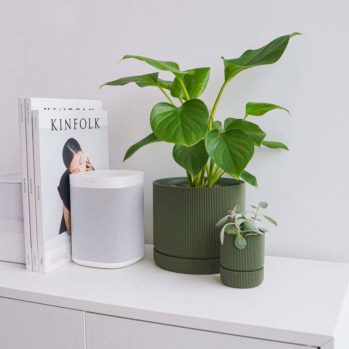 Olive Hemlock Planter