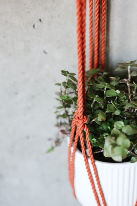 Jane Rust Macrame Plant Hanger