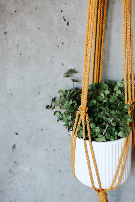Jane Mustard Macrame Plant Hanger