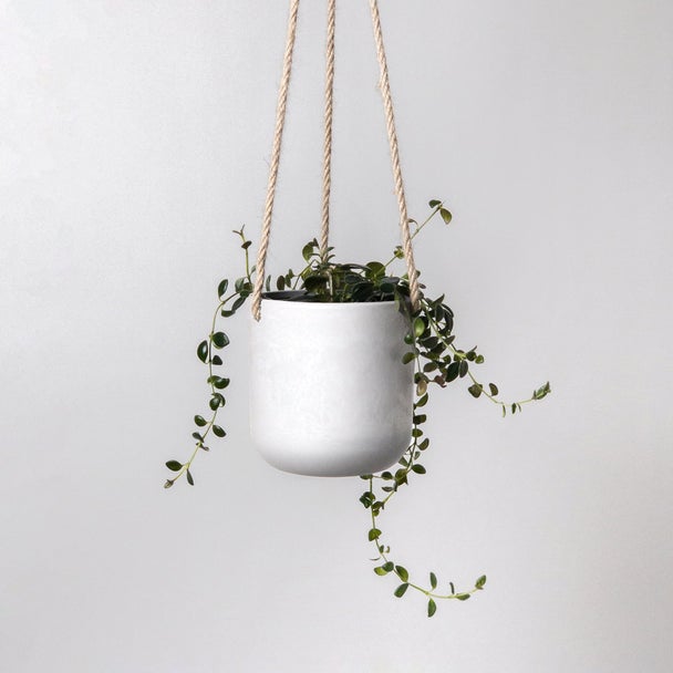Hanging Planters