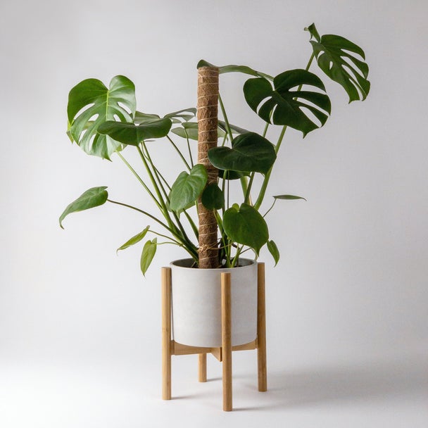 Large Coco Coir Support Pole