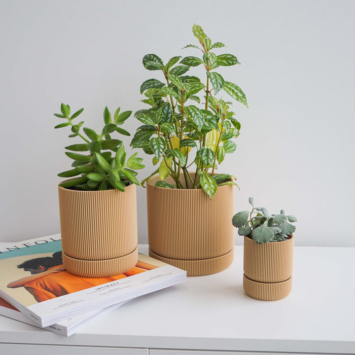 Tan Hemlock Planter
