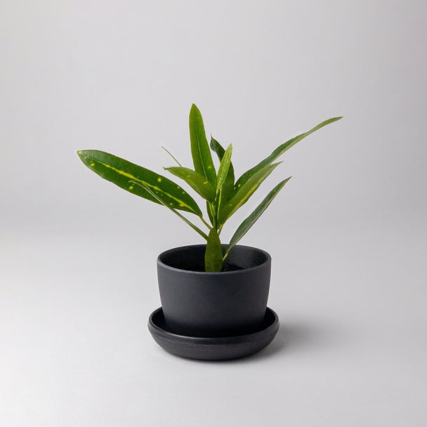 Black Bamboo Fibre Planter
