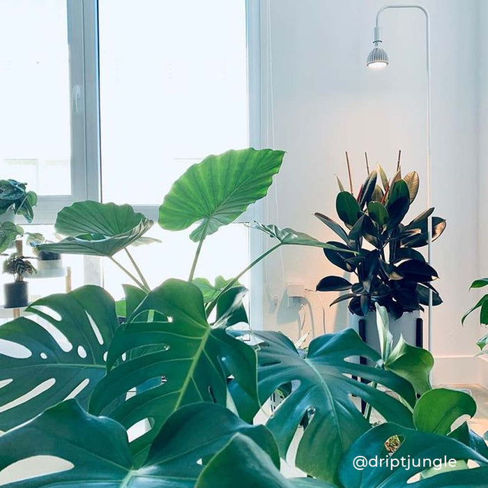 Vita™ Grow Light