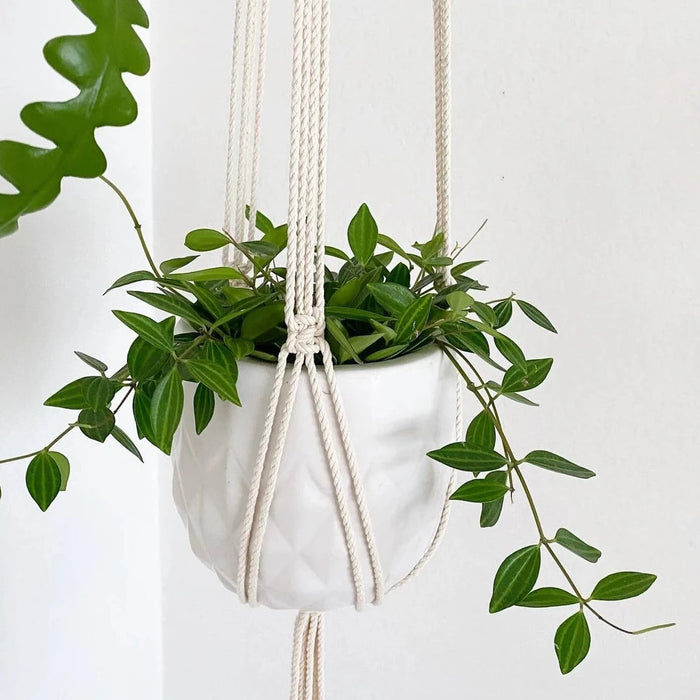 Jane Cream Macrame Plant Hanger