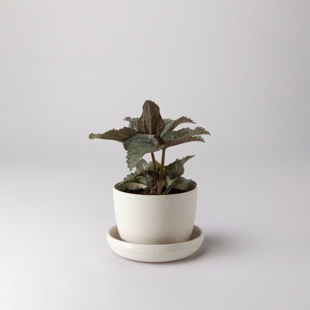 White Bamboo Fibre Planter